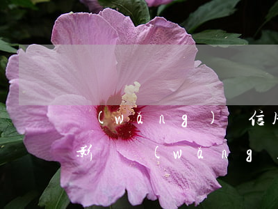 網(wǎng)貸信用卡逾期十天還有什么影響(網(wǎng)貸逾期多久影響信用卡)