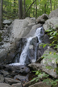 網(wǎng)貸信用卡逾期十幾萬-欠信用卡網(wǎng)貸60多萬