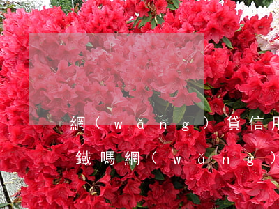網(wǎng)貸信用卡逾期可以坐飛機高鐵嗎(網(wǎng)貸逾期不能坐高鐵和飛機)