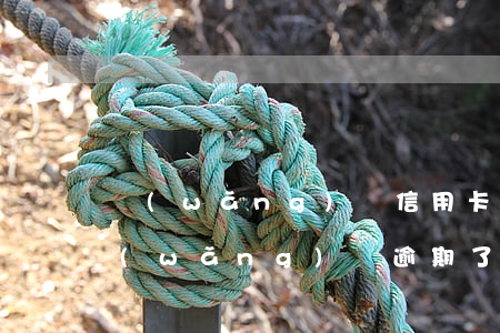 網(wǎng)貸信用卡逾期可以自首嗎(網(wǎng)貸逾期了能辦信用卡嗎)