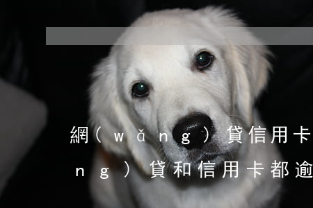 網(wǎng)貸信用卡逾期坐牢 網(wǎng)貸和信用卡都逾期了會坐牢嗎?