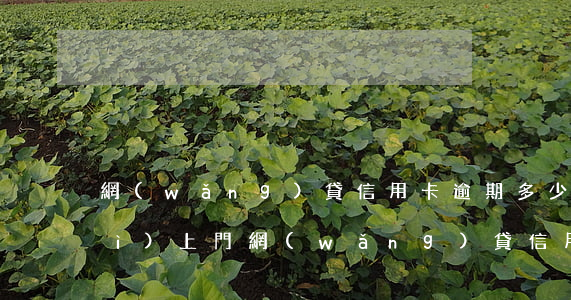網(wǎng)貸信用卡逾期多少會(huì)上門 網(wǎng)貸信用卡逾期多少會(huì)上門催收