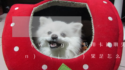 網(wǎng)貸信用卡逾期失聯(lián)結(jié)果是怎么樣-網(wǎng)貸信用卡逾期失聯(lián)結(jié)果是怎么樣的