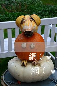網(wǎng)貸信用卡逾期好害怕被起訴(網(wǎng)貸信用卡逾期好害怕被起訴是真的嗎)