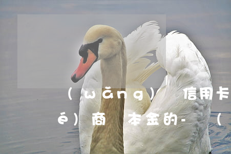 網(wǎng)貸信用卡逾期怎么協(xié)商還本金的-網(wǎng)貸信用卡逾期怎么協(xié)商還本金的錢