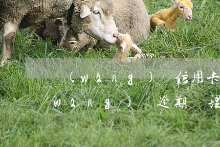 網(wǎng)貸信用卡逾期怎么處理(網(wǎng)貸逾期辦理信用卡)