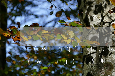網(wǎng)貸信用卡逾期怎么辦天津(網(wǎng)貸逾期辦理信用卡)