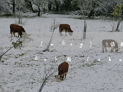 網(wǎng)貸信用卡逾期急用錢(qián)周轉(zhuǎn)(欠了好多網(wǎng)貸和信用卡都逾期了怎么辦?)