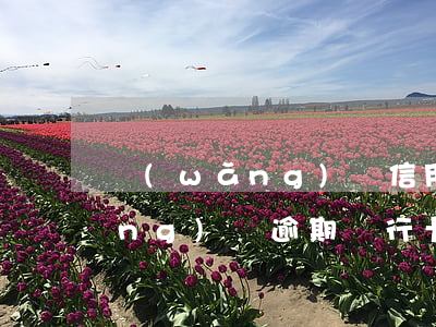 網(wǎng)貸信用卡逾期托管(網(wǎng)貸逾期銀行卡)
