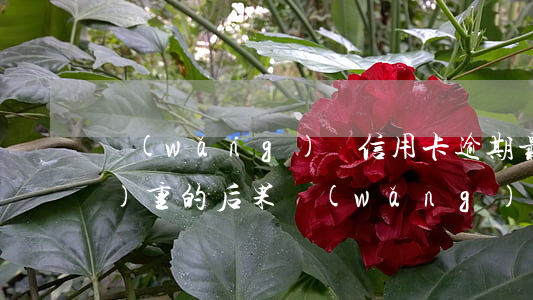 網(wǎng)貸信用卡逾期最嚴(yán)重的后果(網(wǎng)貸逾期對信用卡有沒有影響)
