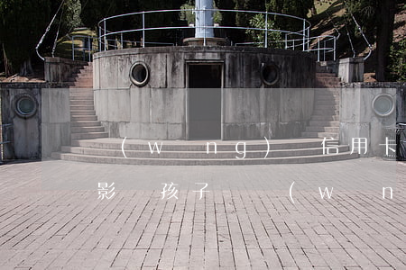 網(wǎng)貸信用卡逾期會(huì)影響孩子嗎(網(wǎng)貸逾期會(huì)不會(huì)影響到信用卡)