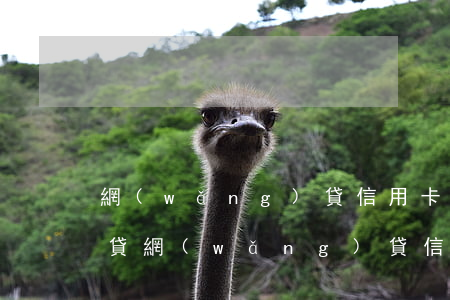 網(wǎng)貸信用卡逾期會不會影響房貸(網(wǎng)貸信用卡逾期會不會影響房貸征信)