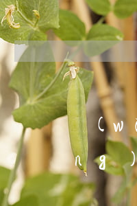 網(wǎng)貸信用卡逾期款項(xiàng)較多(網(wǎng)貸信用卡全面逾期)