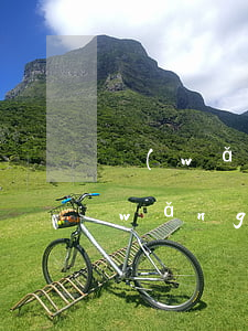 網(wǎng)貸信用卡逾期正確做法(網(wǎng)貸與信用卡逾期哪個(gè)優(yōu)先處理)