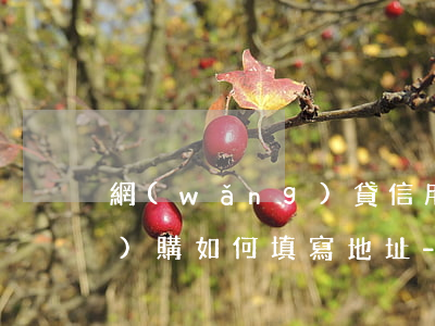 網(wǎng)貸信用卡逾期網(wǎng)購如何填寫地址-網(wǎng)貸信用卡逾期網(wǎng)購如何填寫地址信息