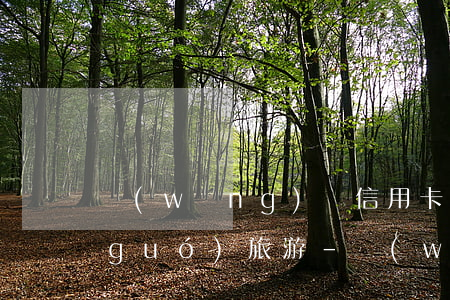 網(wǎng)貸信用卡逾期能不能出國(guó)旅游-網(wǎng)貸信用卡逾期能不能出國(guó)旅游呢