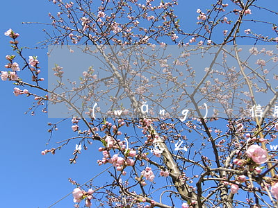網(wǎng)貸信用卡逾期被起訴會(huì)怎么樣(網(wǎng)貸和信用卡逾期)