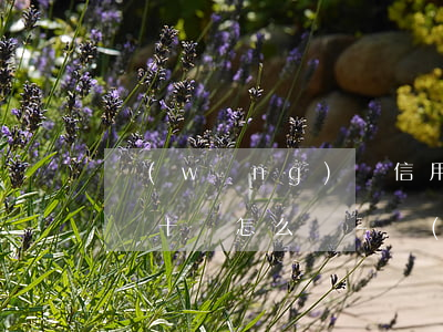 網(wǎng)貸信用卡逾期負(fù)債幾十萬怎么辦-網(wǎng)貸信用卡逾期負(fù)債幾十萬怎么辦啊