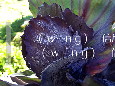 網(wǎng)貸信用卡逾期進場會找我嗎(網(wǎng)貸信用卡逾期進場會找我嗎)
