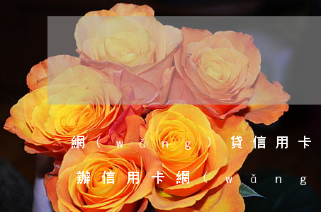 網(wǎng)貸信用卡逾期還不清了怎么辦 信用卡,網(wǎng)貸全部逾期了