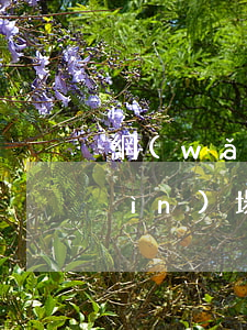 網(wǎng)貸信用卡逾期還可以進(jìn)場(chǎng)嗎