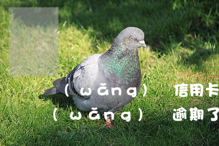 網(wǎng)貸信用卡逾期還能貸款嗎(網(wǎng)貸逾期了還可以辦信用卡嗎?)