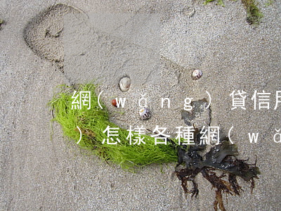 網(wǎng)貸信用卡都不還會(huì)怎樣(各種網(wǎng)貸信用卡還不上怎么辦)