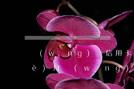 網(wǎng)貸信用卡都逾期好幾個(gè)月（網(wǎng)貸信用卡都逾期好幾個(gè)月）