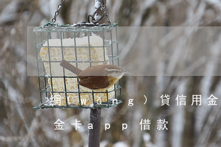 網(wǎng)貸信用金卡app不還(信用金卡app借款)