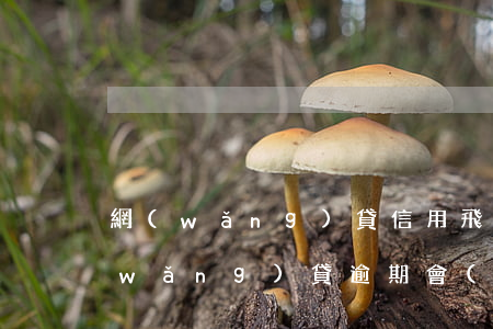 網(wǎng)貸信用飛逾期走訪通知(網(wǎng)貸逾期會(huì)不會(huì)走訪)