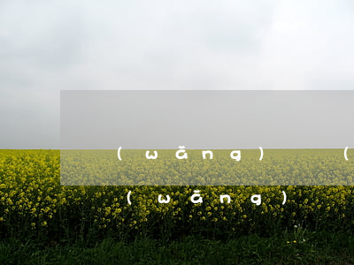 網(wǎng)貸個(gè)性化分期辦理(網(wǎng)貸個(gè)性化分期辦理要多久)