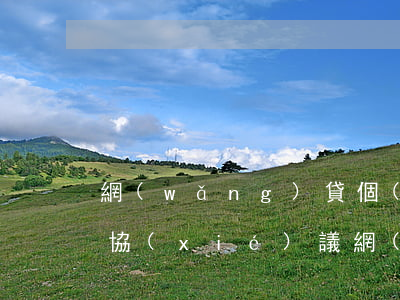 網(wǎng)貸個(gè)性化分期還款協(xié)議(網(wǎng)貸個(gè)性化分期還款協(xié)議書(shū))