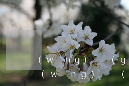 網(wǎng)貸個(gè)性化分期還款(網(wǎng)貸個(gè)性化分期還款協(xié)議)
