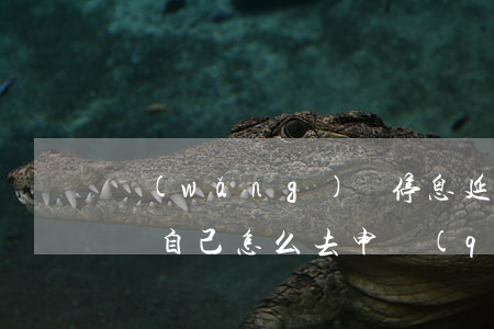 網(wǎng)貸停息延期真的假的(停息掛賬自己怎么去申請(qǐng))