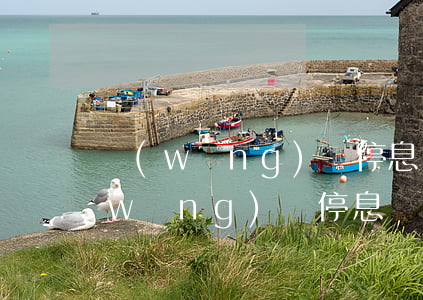 網(wǎng)貸停息掛賬怎么弄好-網(wǎng)貸停息掛賬怎么弄好一點