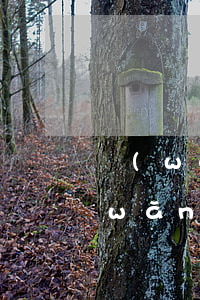 網(wǎng)貸停息掛賬是什么意思(網(wǎng)貸停息掛賬是什么意思)