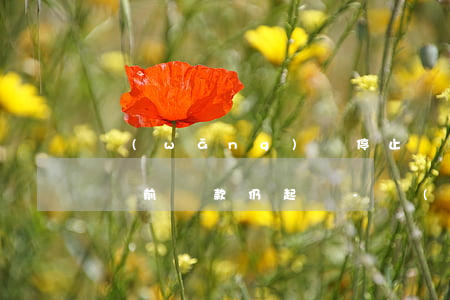網(wǎng)貸停止協(xié)商后起訴前還款仍起訴-網(wǎng)貸停止協(xié)商后起訴前還款仍起訴怎么辦