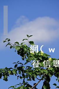 網(wǎng)貸偶爾逾期會(huì)上征信嗎(不合法的網(wǎng)貸逾期會(huì)上征信嗎?)
