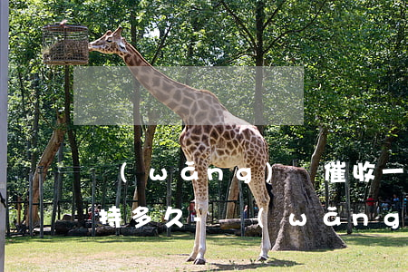 網(wǎng)貸催收一般堅(jiān)持多久-網(wǎng)貸催收一般堅(jiān)持多久?該怎么應(yīng)對(duì)?