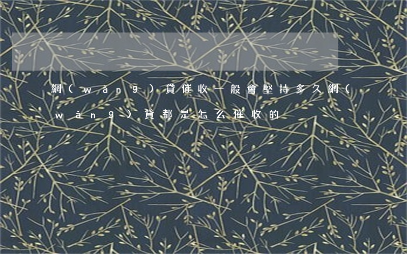 網(wǎng)貸催收一般會堅持多久(網(wǎng)貸都是怎么催收的)