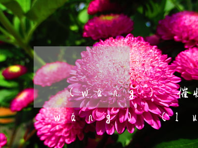 網(wǎng)貸催收上門報警有用嗎(網(wǎng)絡(luò)貸款遇到上門催收的可以報警嗎)
