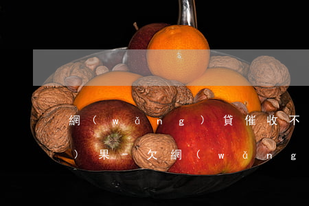 網(wǎng)貸催收不還什么結(jié)果-欠網(wǎng)貸催收