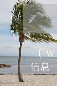 網(wǎng)貸催收人給父母發(fā)信息(網(wǎng)貸催收給家人打電話合法嗎)