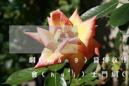 網(wǎng)貸催收什么時(shí)候會(huì)上門(網(wǎng)貸會(huì)被上門催收嗎)