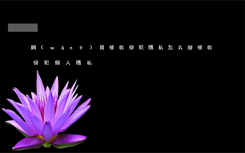 網(wǎng)貸催收侵犯隱私怎么辦(催收侵犯個人隱私)