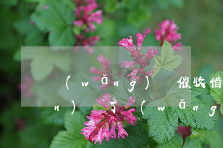 網(wǎng)貸催收借款人進監(jiān)獄了(網(wǎng)貸被公安局催收怎么回事)