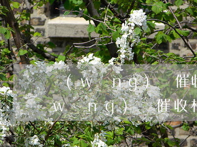 網(wǎng)貸催收刑法224條-網(wǎng)貸催收相關(guān)法律規(guī)定