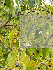 網(wǎng)貸催收叫還到對(duì)公賬戶(網(wǎng)貸還清后還被催收怎么辦)