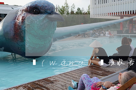 網(wǎng)貸催收告法院