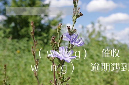 網(wǎng)貸催收報案可以處理嗎(網(wǎng)貸逾期遇到催收怎么辦)